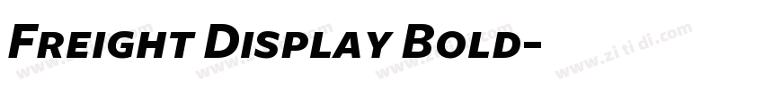 Freight Display Bold字体转换